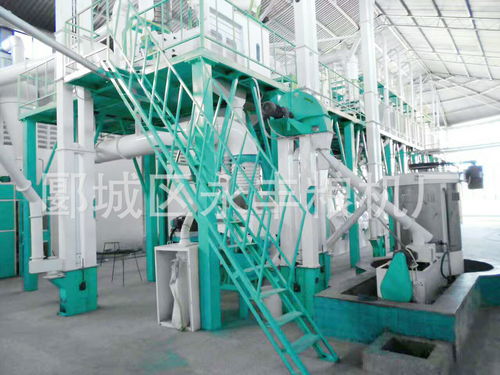 楼房结构成套设备 日处理500吨小麦麪粉厂
